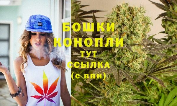 apvp Гусиноозёрск