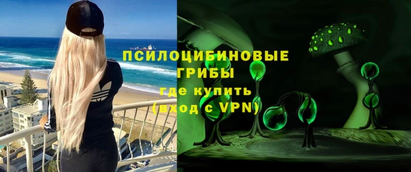 spice Дмитриев