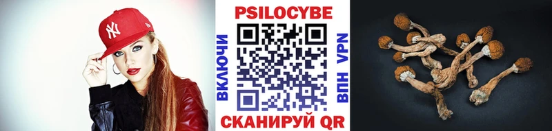 гидра ссылка  Красногорск  Псилоцибиновые грибы ЛСД 